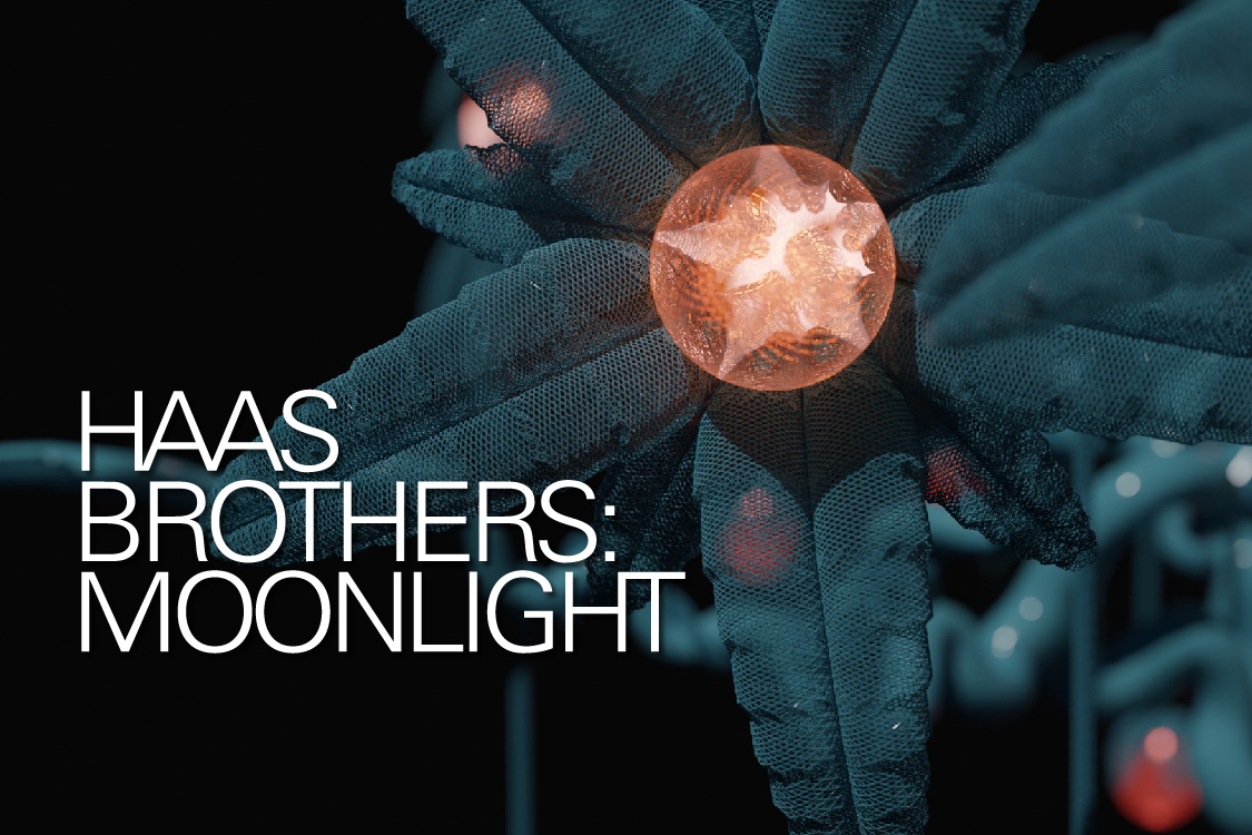 NSC24_Haas Bros___540x360 NASHER site